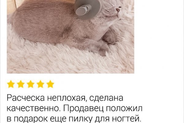 Кракен даркшоп