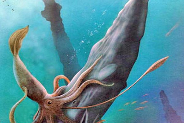 Kraken сайт вход