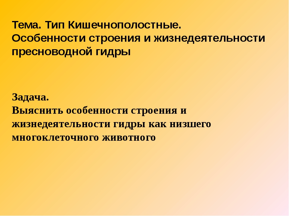 Kraken даркнет рынок ссылка