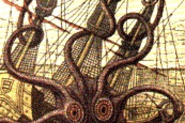 Что такое кракен маркет торкнет