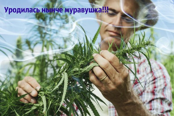 Кракен ссылку где