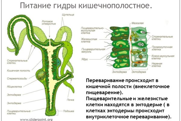 Кракен омг мега