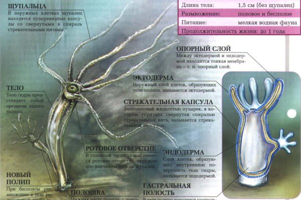 Ссылка на кракен тор магазин