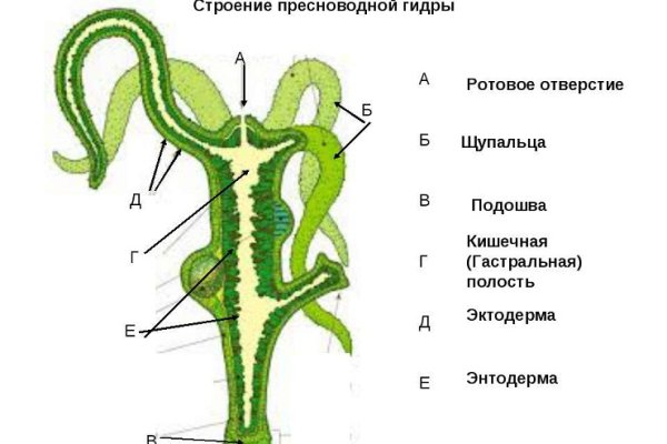 Актуальная ссылка на кракен kraken