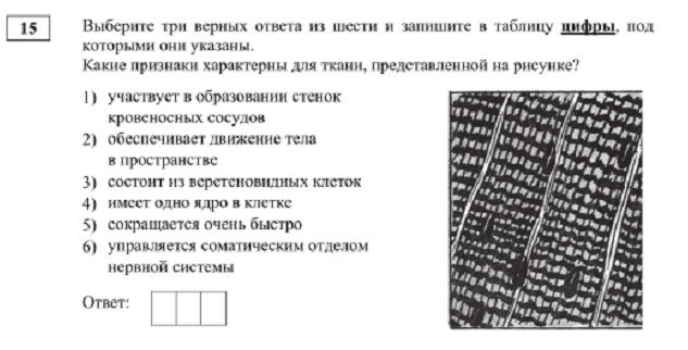 Сайт кракен через тор