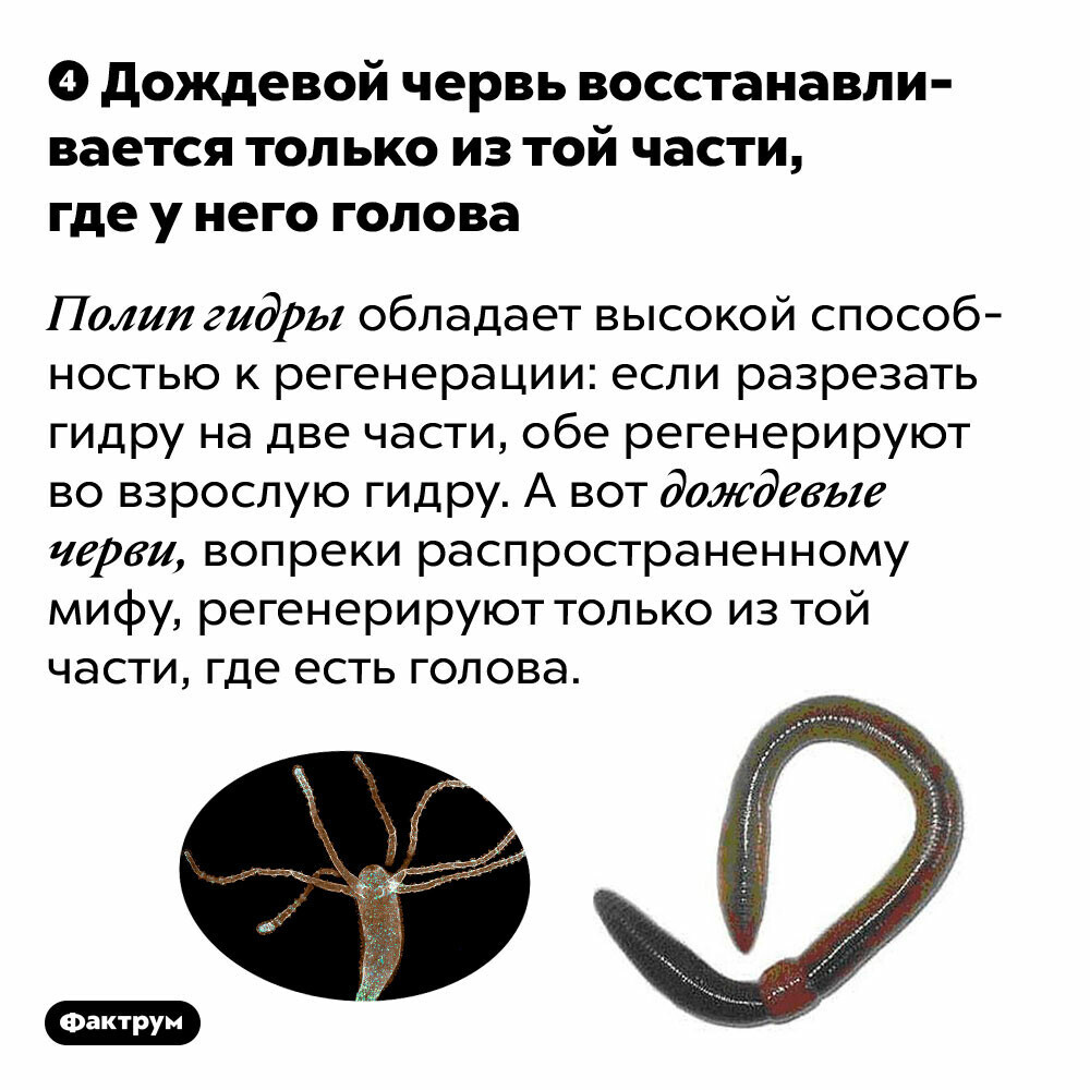 Почему не могу зайти на кракен